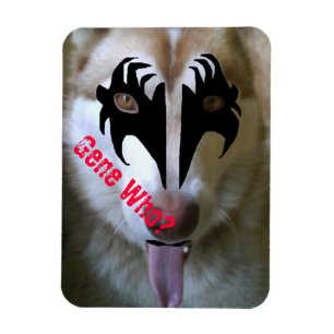 Akira Kuss-Gen wer? Magnet