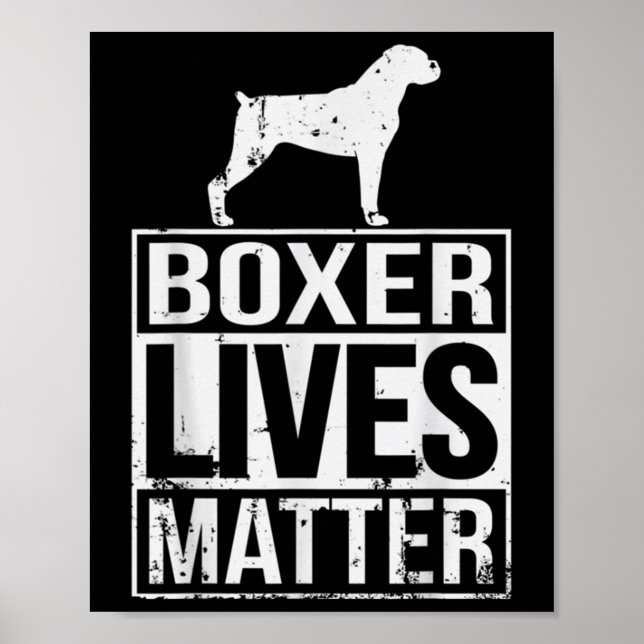 Akiras Fudoboxer Live S Bewusstsein Poster (Vorne)