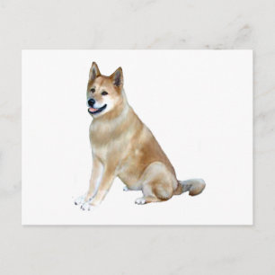 Akita (Akita Inu) (169) Postkarte