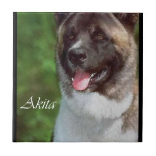 Akita Art Fliese