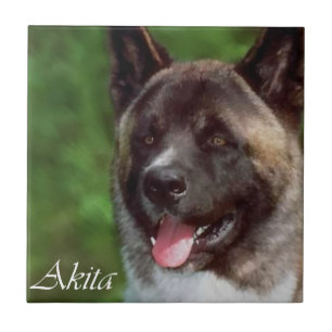 Akita Art Fliese