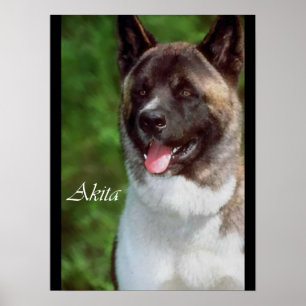 Akita Art Print Geschenke Poster