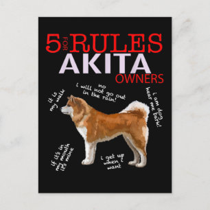 Akita Dog   5 Regeln Akita Dog Eigentümer Ankündigungspostkarte