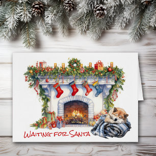 Akita Dog attend Père Noël