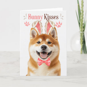 Akita Dog in den sonnigen Ohren für Ostern Feiertagskarte