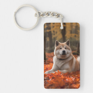 Akita en automne Feuilles automne s'inspire