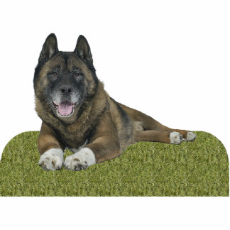 Akita Freistehende Fotoskulptur