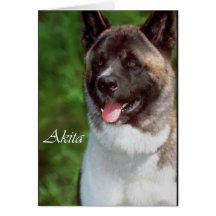 Akita Gaben of Art