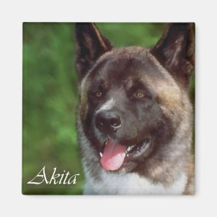 Akita-Geschenke Magnet