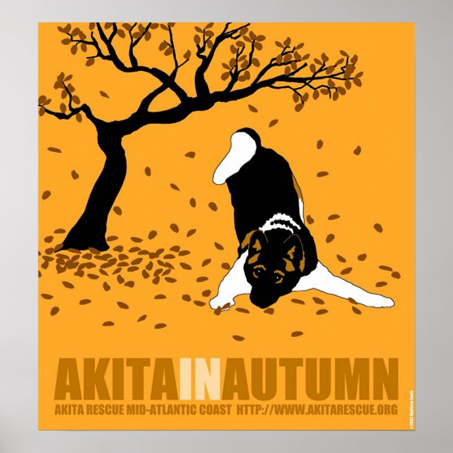 Akita im Herbst (18" x 19,5") Poster (Vorne)