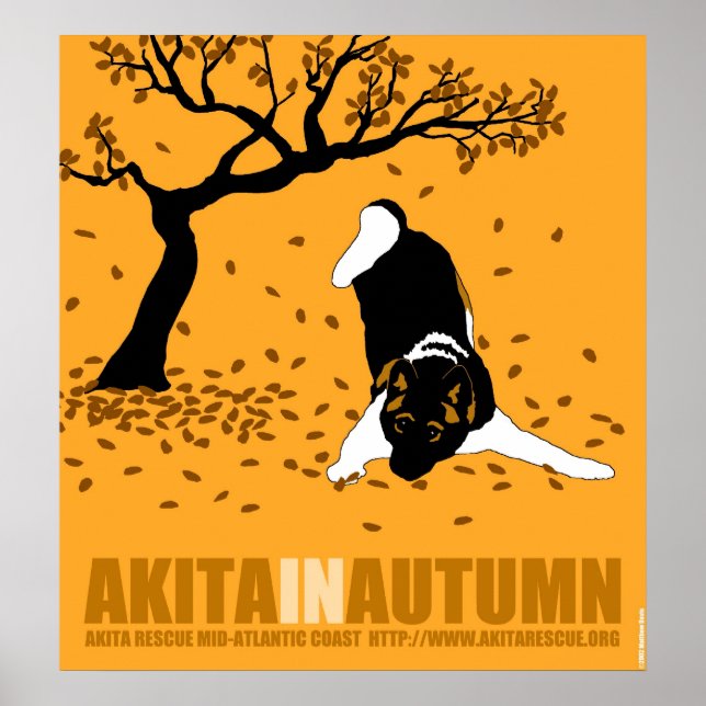 Akita im Herbst (30" x 32,5") Poster (Vorne)