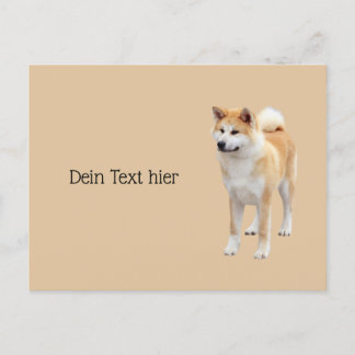 Akita Inu   Postkarte