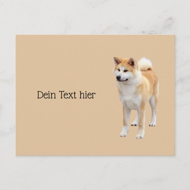 Akita Inu   Postkarte (Vorderseite)