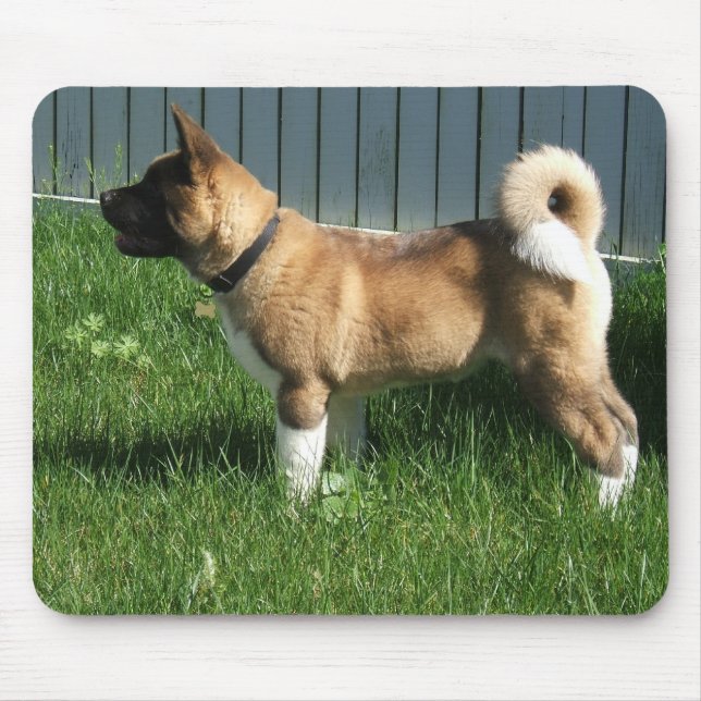 Akita mousepad (Vorne)