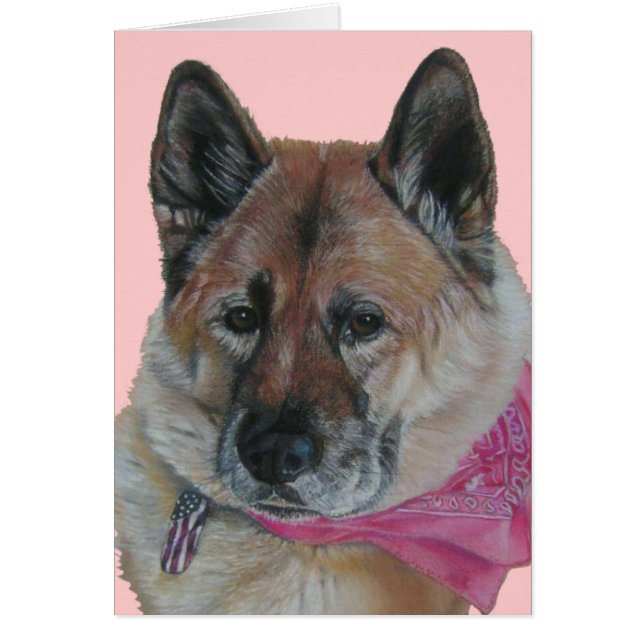 akita pink scarf usa Fahnenmarkenschild (Vorne)