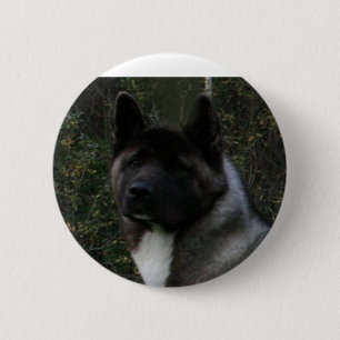 Akita Pinto schwarze Maske Button