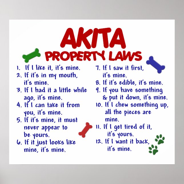AKITA PL2 POSTER (Vorne)