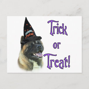 Akita Trick Postkarte