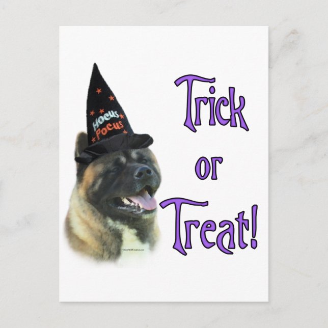 Akita Trick Postkarte (Vorderseite)