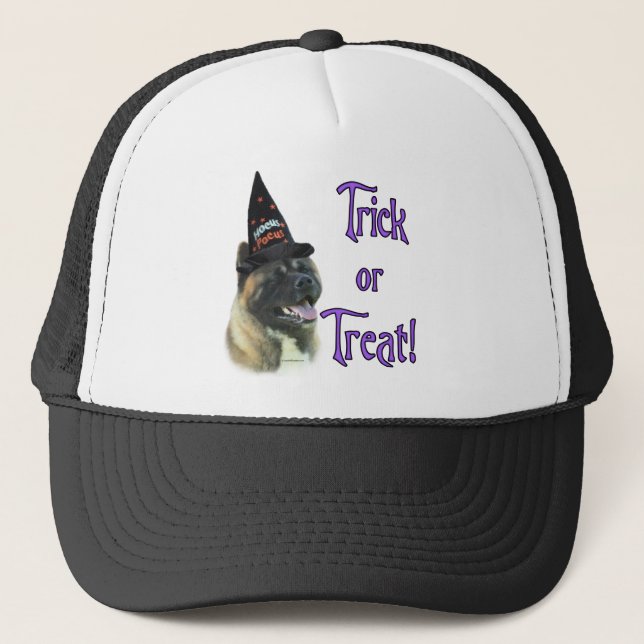 Akita Trick Truckerkappe (Vorderseite)