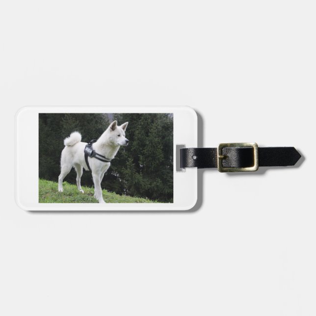 Akita weiß Farben Gepäckanhänger (Vorderseite horizontal)