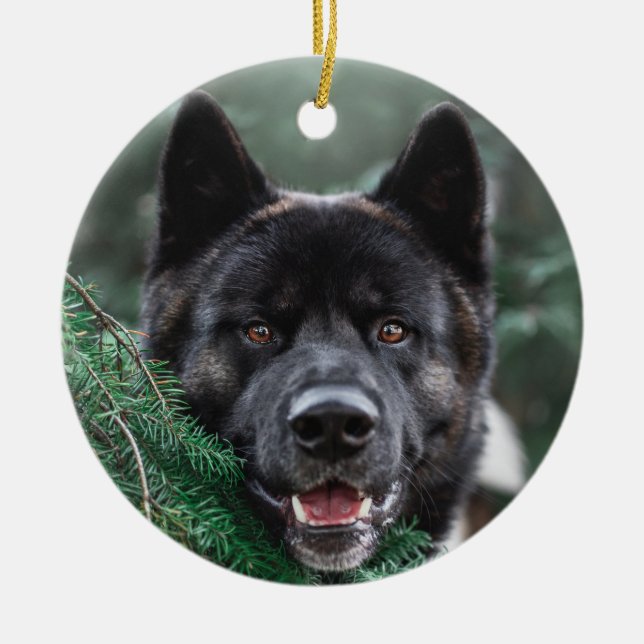 Akita Welpe Hund in einem Kiefernwald Weihnachten Keramik Ornament (Vorne)