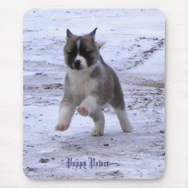 Akita-Welpe Mousepad (Vorne)