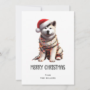 Akita Wrapped in Christmas Light Frohe Weihnachten