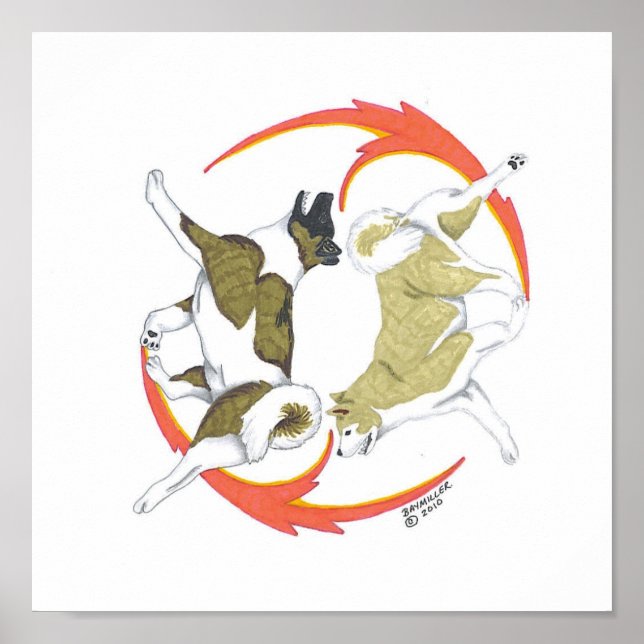 akita yin and yang poster (Vorne)