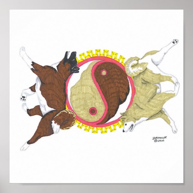 akita Yin und Yang 2 Poster (Vorne)