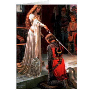 Akkolade - Norwegische Waldkatze