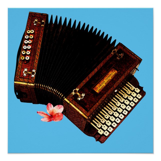Akkordeon und Plumeria - Musikinstrument Poster (Vorderseite)
