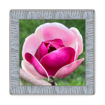 Akryles Foto Untersetzer Set mit hübschen Magnolie