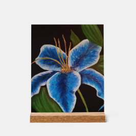 Akryling Acrylschild