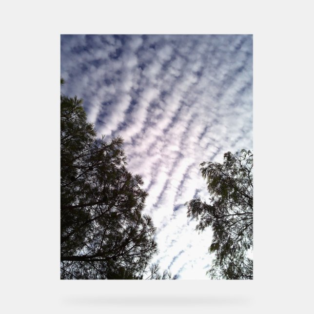 Akryling Acrylschild (Vorderseite)