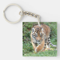 Akryllische Foto-Tigerkatze aus Schlüsselanhänger.
