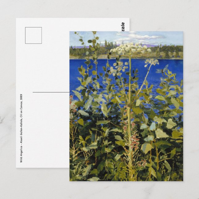 Akseli Gallen-Kallela - Wild Angelica Postkarte (Vorne/Hinten)