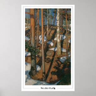 Akseli Gallen-Kallela Zedign Kunstposter #18 Poster