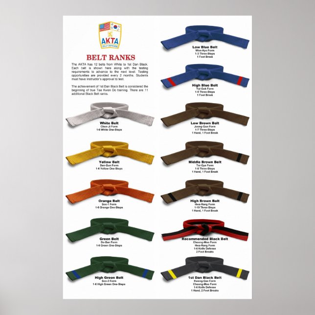 AKTA Belt Rank Poster (Vorne)
