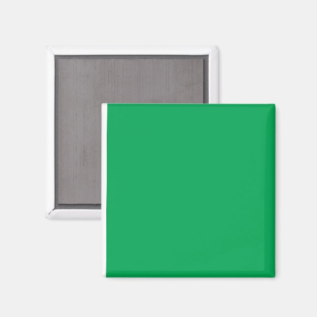 Aktualisieren Sie Ihr Webdesign mit einem grünen H Magnet (Vorderseite/Rückseite)