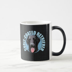 AKTUALISIERTER RETRIEVER VERWANDLUNGSTASSE