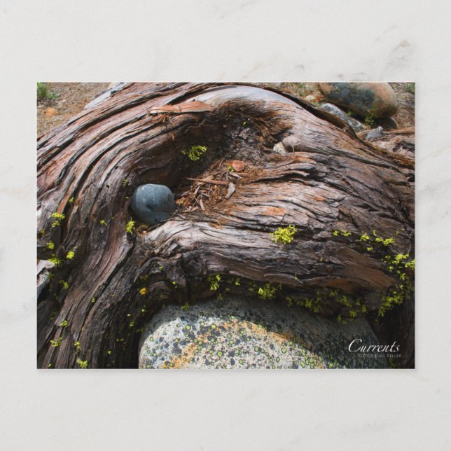 Aktuelles Foto Postkarte (Vorderseite)