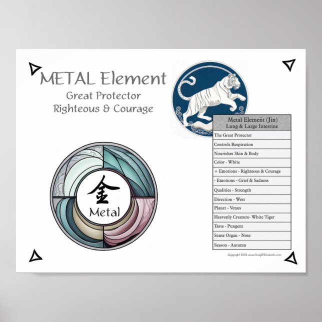 Akupunktur des Metallelements Poster (Vorne)