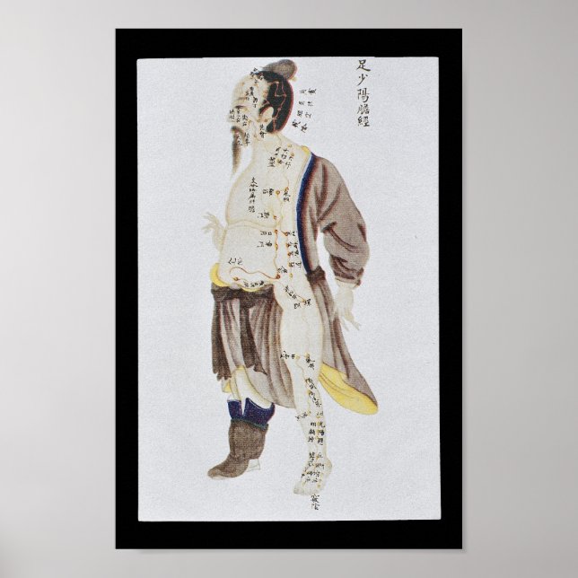 Akupunktur Gall Blase Meridian Foot Shaoyang Poster (Vorne)