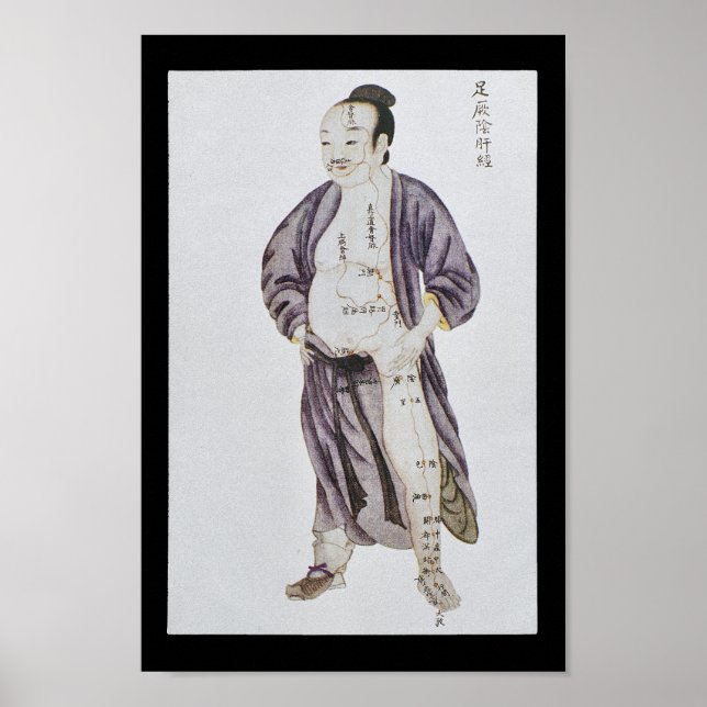Akupunktur Lever Meridian Foot Jueyin Poster (Vorne)