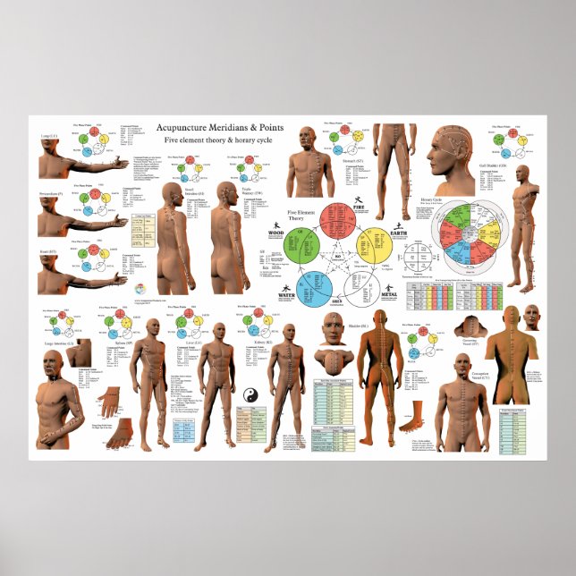 Akupunktur Meridian Point Locations Poster (Vorne)