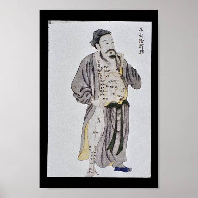 Akupunktur Milen Meridian Foot Taiyin Poster (Vorne)