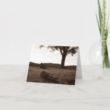 Akustische Gitarre Posing