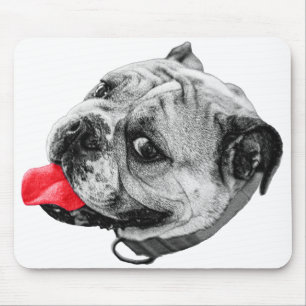 Akzent Bulldogge Schreibtisch Mousepad