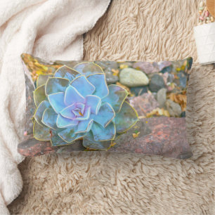 AKZENT LUMBAR DURCH PILLOW, "CACTUS-ROSE" LENDENKISSEN